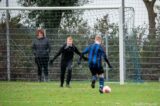 S.K.N.W.K. JO13-1 - Walcheren JO13-3 (competitie) seizoen 2021-2022 (najaar - 2e fase)) (3/42)